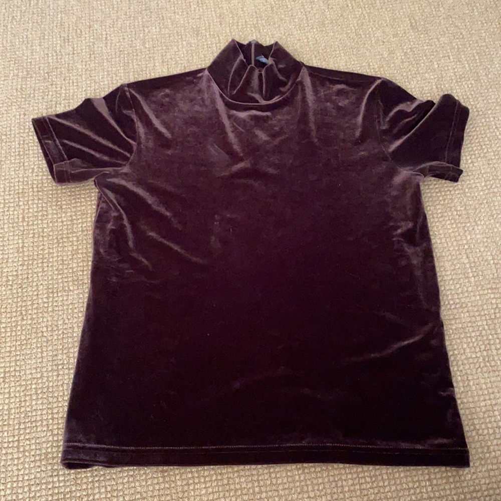 Velvet turtleneck top